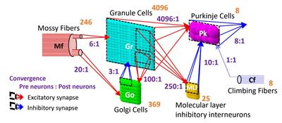 Artificial cerebellum on FPGA: realistic real-time cerebellar spiking neural network model capable of real-world adaptive motor control